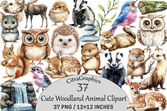 Download Cute Woodland Animal Clipart. - Woodland animal clipart Collection
